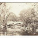 Vermont Grafton Street Concrete Arch Bridge Perkinsville VT Vintage RPPC Postcard947 Postcard