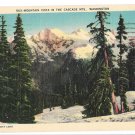 WA Cascade Mountains Vista Vtg C P Johnson Linen Postcard Washington State