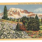 WA Mt Ranier National Park Wildflowers White Heather Curteich Linen Postcard