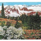 WA Mt Ranier National Park Wildflowers Blue Lupin Asahel Curtis Linen Postcard E C Kropp WA Mt Ranier National Park Wildflowers Blue Lupin Asahel Curtis Linen Postcard E C Kropp