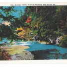 Virginia Mason's Creek Between Roanoke and Salem Vintage Asheville Postcard Co