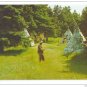 Canada Native American Micmac Indian Village Canoe Chief Red Cliff 2 Tichnor Postcards
