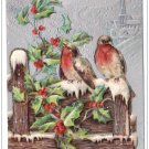 Christmas Birds Snowy Fence Glitter Embossed Church Silver P Sander 1906 Postcard