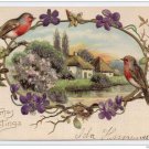 Christmas Cottage Scene Birds Violets Embossed Applied Glitter Vntg Litho Postcard Postcard