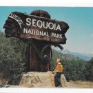 CA Sequoia National Park Redwood Entrance Sign on Moro Rock H S Crocker Postcard
