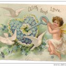 Valentine Cupid Cherub Doves Key to Flower Heart Embossed IAP Vintage 1908 Postcard