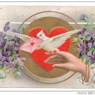 Valentine Ladies Hand Dove Heart Embossed Gold Gilt Nash Lover Series 1910 Postcard