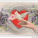 Valentine Dove Ladies Hand Heart Glitter Embossed Silver Gilt E Nash 1909 Postcard