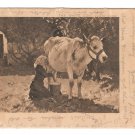 The White Cow Julien Dupre Raphael Tuck Art Postcard UDB 1905 Flag Cancel