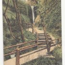 UK England Shanklin Chine Isle of Wight Bridge Vtg J Welch Postcard ca1910