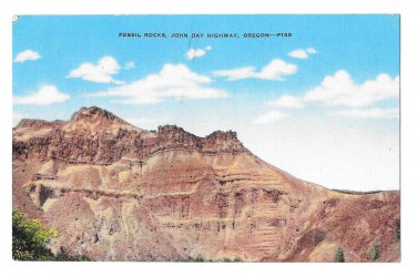 Fossil Rocks John Day Highway Oregon Forest Service Photo Vntg. Linen Postcard
