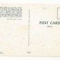 Singing Tower Edward Wm Bok Lake Wales Florida Photo by Robert F Wasman Postcard