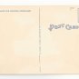 Reading PA Volunteer Fireman's Memorial Band Shell City Park  Linen Postcard