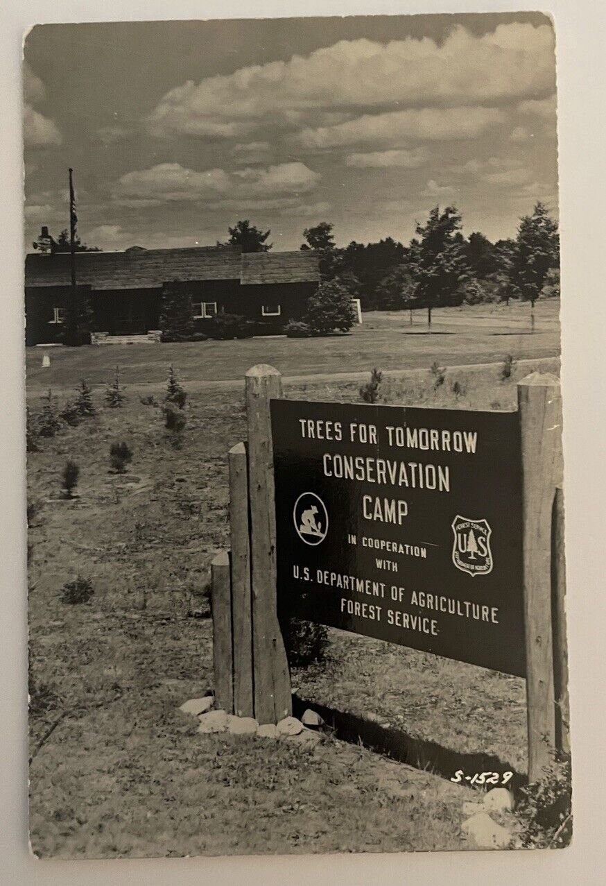 Trees For Tomorrow Conservation Camp Postcard Eagle River Wisconsin RPPC