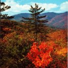 An Autumn Scene Near Buck Creep Cap From Blue Ridge Parkway Postcard An Autumn Scene Near Buck Creep Cap From Blue Ridge Parkway Postcard