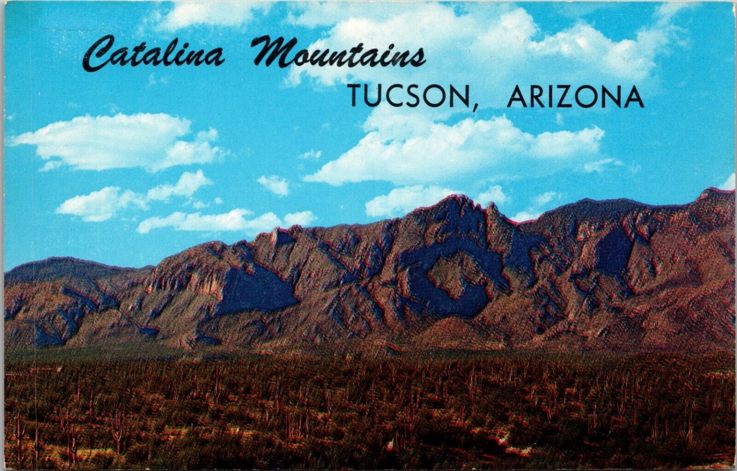 Catalina Mountains Tucson Arizona Desert Postcard