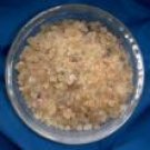 White Copal
