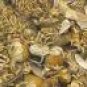 Consecrated Sacred Herbs