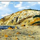 Cat's Meow Martha's Vineyard GAY HEAD CLIFFS - Aquinnah  FREE SHIPPING