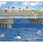 Cat's Meow Martha's Vineyard Jumping Off The Big Bridge (Oak Bluffs-Edgartown Line)  FREE SHIPPING
