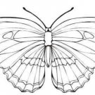 Collection of BUTTERFLIES Printable Images 105 Pages