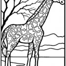 Collection of ZOO ANIMALS Printable Images 58 Pages