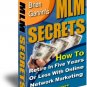 MLM Secrets - Make More Money with Online Networking