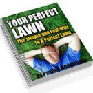 How to Create Your Perfect Lawn