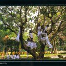 Ho chi Minh schoolgirl M 19 Vietnam Postcard by Doan Duc Minh $0 shipping