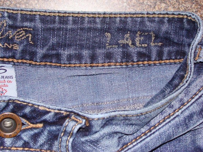 silver brand pants
