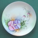 Vintage Hutschenreuther Selb Germany Plate