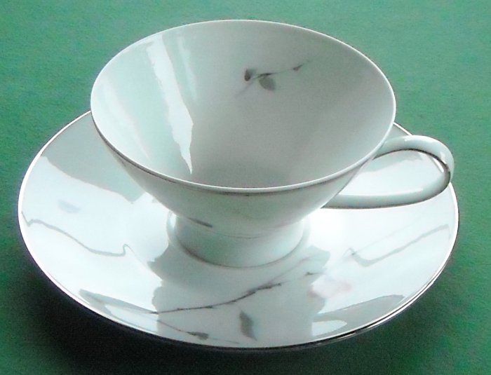 Rosenthal Germany China Pattern Japanese Quince 3725 Cup & Saucer Set