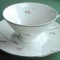 Rosenthal Germany China Pattern Japanese Quince 3725 Cup & Saucer Set