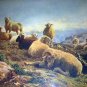 c1900 AUGUSTE BONHEM-GRAZING SHEEP IN MOUNTAINS-Print ONLY-NO Frame