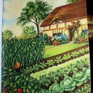 Unusual COTTAGE THEME Lithograph with GARDEN-Beautiful Tomatoes,Cabbage,Pumpkin