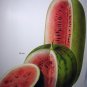Vintage Botanical Lithograph-Watermelons Sliced-Sugar Baby,Miyako