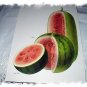 Vintage Botanical Lithograph-Watermelons Sliced-Sugar Baby,Miyako