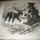 R.H. PALENSKE-Huge Bull Moose and His Mate-Vintage Drypoint Print R.H. PALENSKE-Huge Bull Moose and His Mate-Vintage Drypoint Print