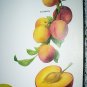 Vintage Print-Botanical Grouping of VIBRANT Colorful PLUMS