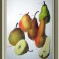 Vintage Print-Botanical Grouping of VIBRANT Colorful PEARS
