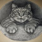 1800s Antique Etching Illustration Sweet Tabby Cat In Portrait