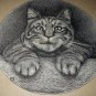 1800s Antique Etching Illustration Sweet Tabby Cat In Portrait