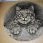 1800s Antique Etching Illustration Sweet Tabby Cat In Portrait