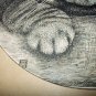 1800s Antique Etching Illustration Sweet Tabby Cat In Portrait
