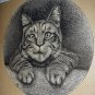 1800s Antique Etching Illustration Sweet Tabby Cat In Portrait