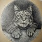1800s Antique Etching Illustration Sweet Tabby Cat In Portrait