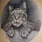 1800s Antique Etching Illustration Sweet Tabby Cat In Portrait