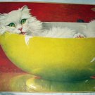 TOO SWEET!! WHITE PERSIAN CAT IN POTTERY BOWL-JACK MURRAY ARTWORK