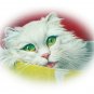 TOO SWEET!! WHITE PERSIAN CAT IN POTTERY BOWL-JACK MURRAY ARTWORK