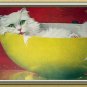 TOO SWEET!! WHITE PERSIAN CAT IN POTTERY BOWL-JACK MURRAY ARTWORK